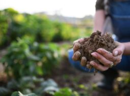 sustainable agriculture planning