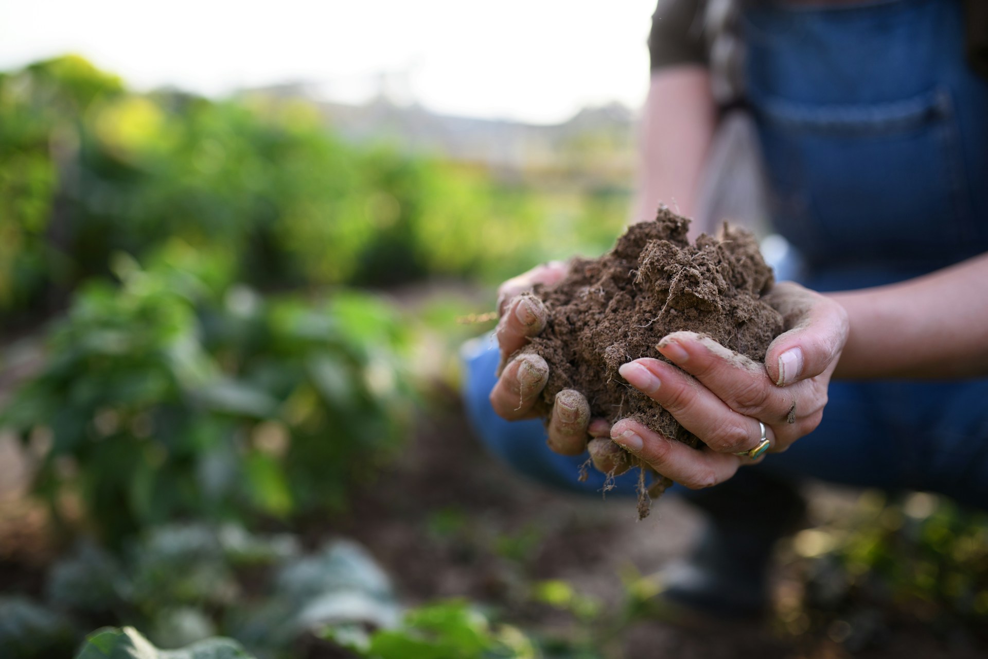 sustainable agriculture planning