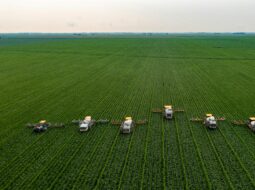 Agriculture