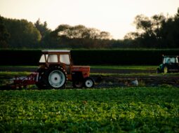 sustainable farming