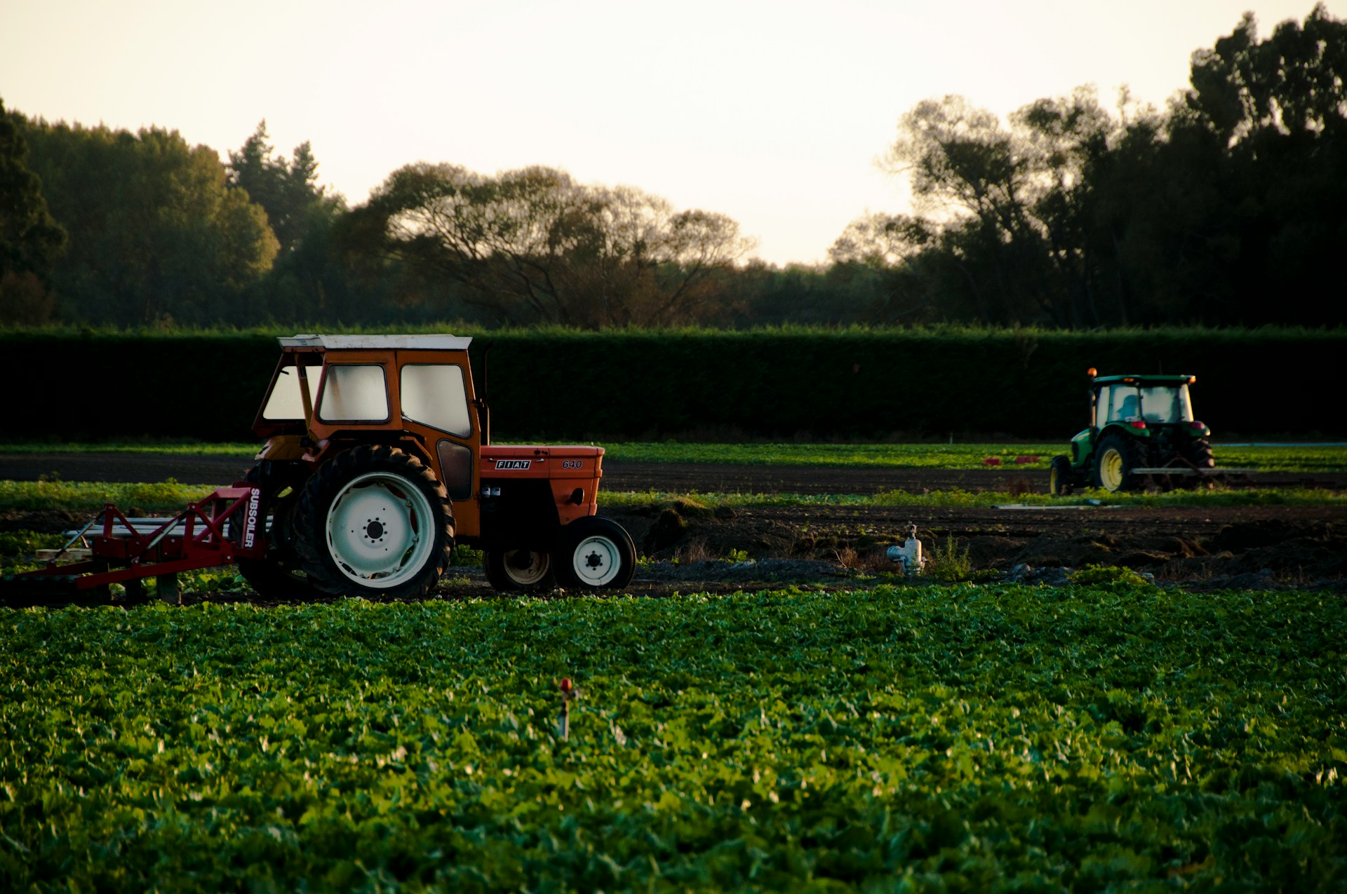 sustainable farming