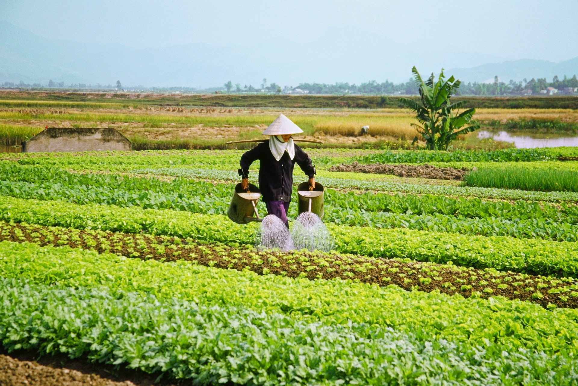 sustainable farming strategies