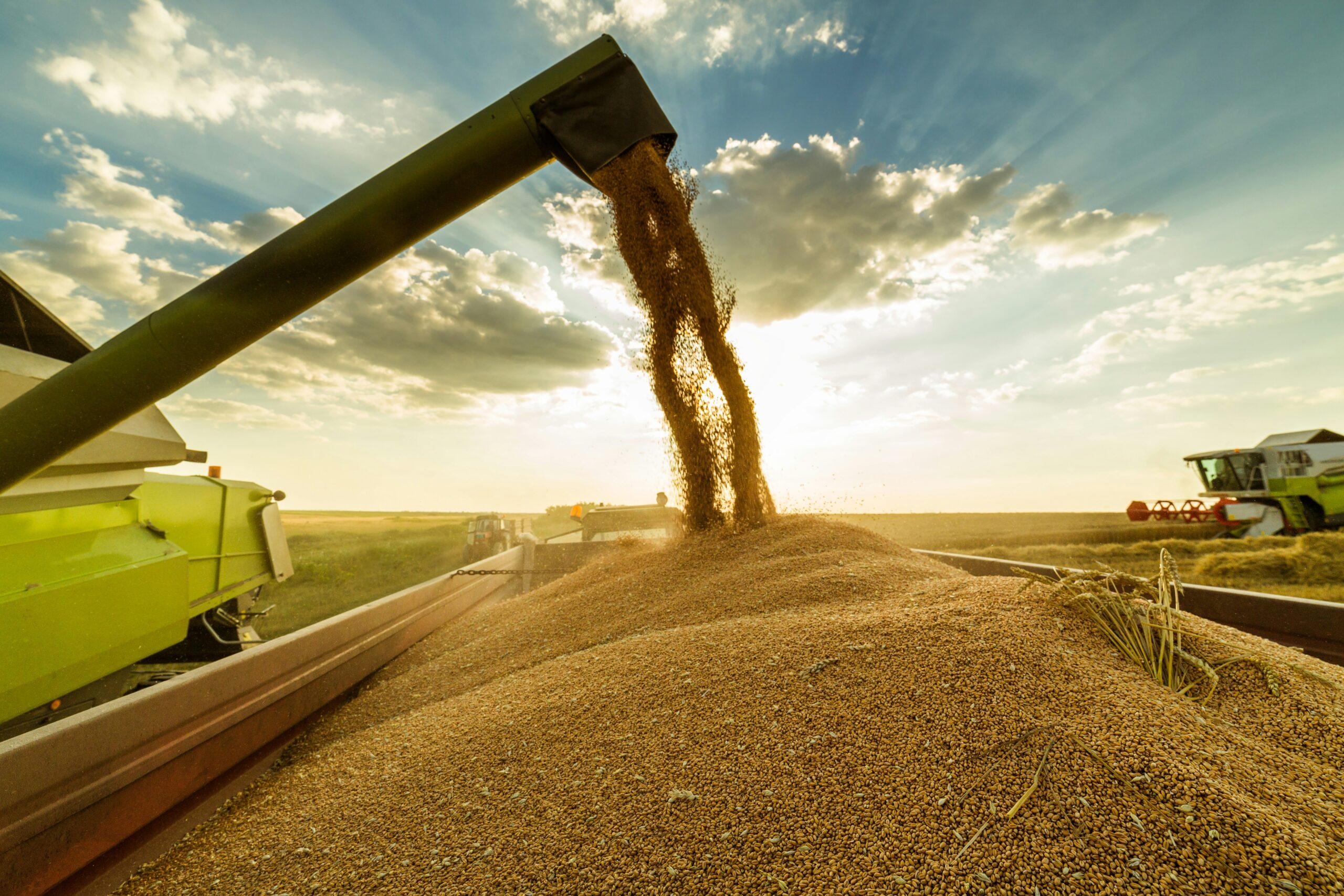 Modern agricultural equipment harvesting and transferring grain in a large field during sunset, showcasing advanced farming operations.