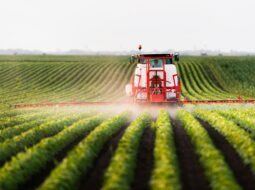 Modern Agriculture